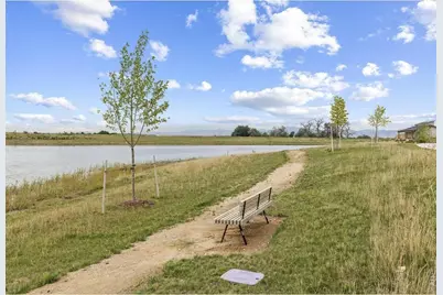 870 Loess Ln, Windsor, CO 80550 - Photo 47