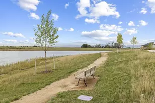 870 Loess Ln, Windsor, CO 80550 - Photo 47