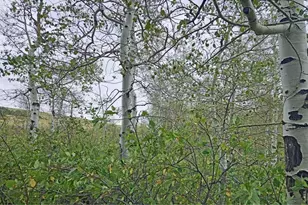 1245 Plano Rd, Sand Creek Township, CO 82070 - Photo 3