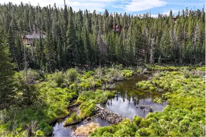 242 Chippewa Way, Red Feather Lakes, CO 80545 - Photo 35