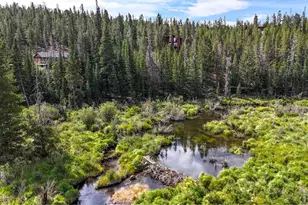 242 Chippewa Way, Red Feather Lakes, CO 80545 - Photo 35