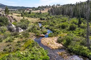 242 Chippewa Way, Red Feather Lakes, CO 80545 - Photo 37