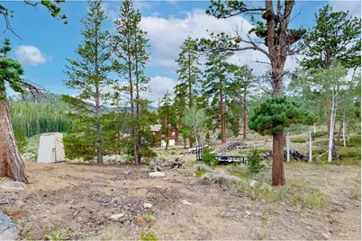 242 Chippewa Way, Red Feather Lakes, CO 80545 - Photo 25
