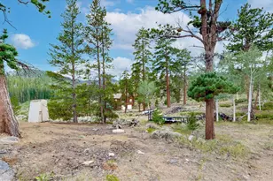 242 Chippewa Way, Red Feather Lakes, CO 80545 - Photo 25