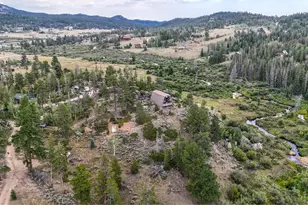 242 Chippewa Way, Red Feather Lakes, CO 80545 - Photo 41