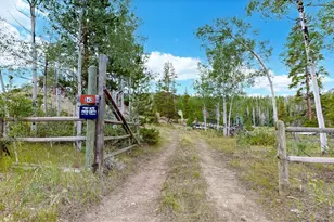 242 Chippewa Way, Red Feather Lakes, CO 80545 - Photo 45
