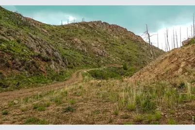 151 Black Mountain Ct, Livermore, CO 80536 - Photo 9