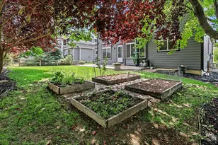 8106 Northstar Dr, Windsor, CO 80528 - Photo 3