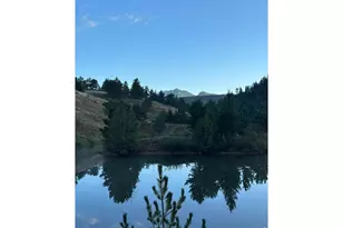 16001 Peak to Peak Hwy, Lyons, CO 80540 - Photo 47