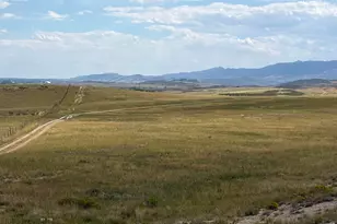 61 Niobrara Ridge Rd, Laporte, CO 80535 - Photo 1