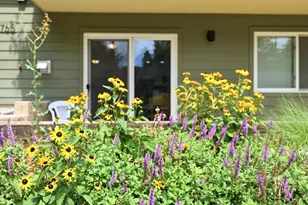 3765 Birchwood Dr, Boulder, CO 80304 - Photo 5