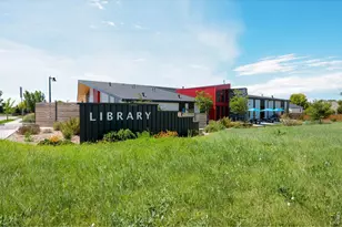905 Scotch Pine Dr, Severance, CO 80550 - Photo 39