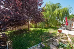 905 Scotch Pine Dr, Severance, CO 80550 - Photo 35