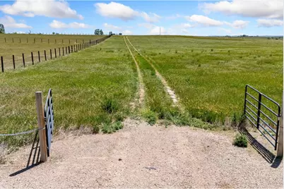 11256 N County Road 13, Wellington, CO 80549 - Photo 3