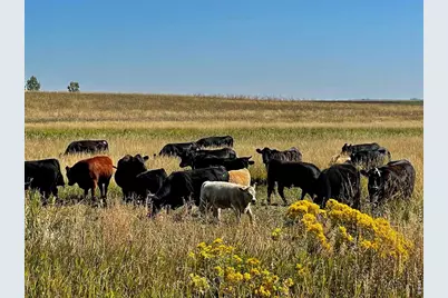11256 N County Road 13, Wellington, CO 80549 - Photo 13