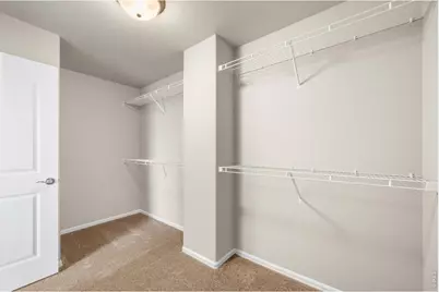 1838 Rise Dr, Windsor, CO 80550 - Photo 33