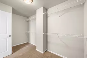 1838 Rise Dr, Windsor, CO 80550 - Photo 33