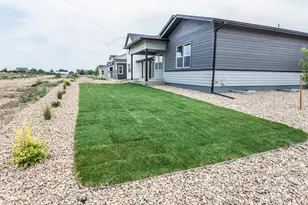 774 Trumpet Ct, Windsor, CO 80550 - Photo 47