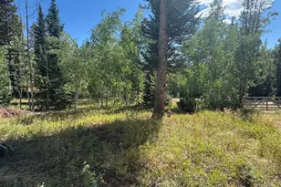 67 Alpine Ln, Walden, CO 80430 - Photo 7