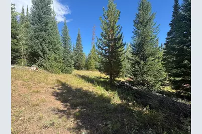 67 Alpine Ln, Walden, CO 80430 - Photo 5