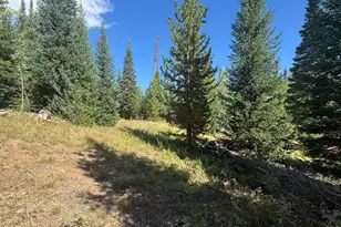 67 Alpine Ln, Walden, CO 80430 - Photo 5