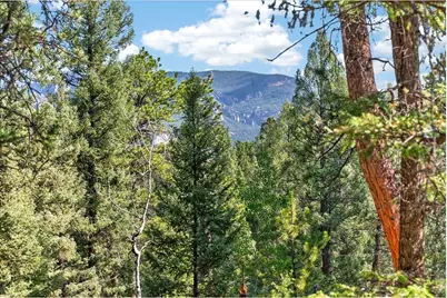 12907 S Cindy Ave, Pine, CO 80470 - Photo 7