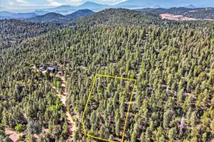12907 S Cindy Ave, Pine, CO 80470 - Photo 1