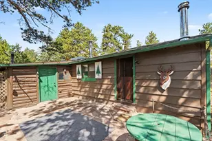 360 Ski Rd E, Allenspark, CO 80510 - Photo 19