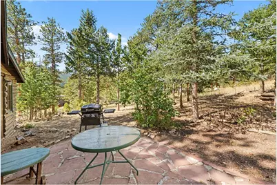 360 Ski Rd E, Allenspark, CO 80510 - Photo 17