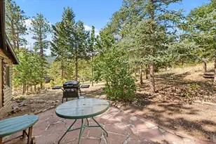 360 Ski Rd E, Allenspark, CO 80510 - Photo 17