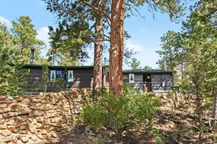 360 Ski Rd E, Allenspark, CO 80510 - Photo 15