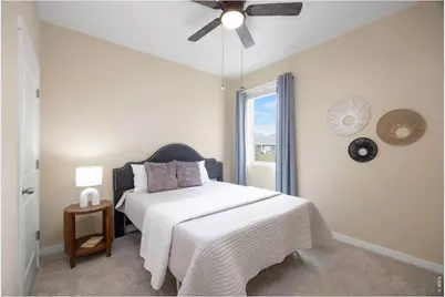 809 Elias Tarn Dr, Severance, CO 80550 - Photo 23