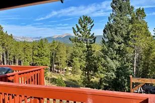 393 Pine Cone Dr, Ward, CO 80481 - Photo 3