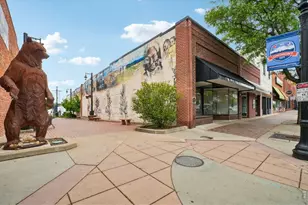 127 E Saint Clair Ave, Longmont, CO 80504 - Photo 23