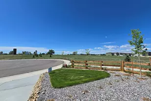 7331 Swan River St, Frederick, CO 80530 - Photo 29