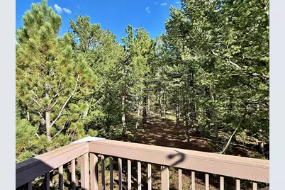 6687 Overland Rd, Ward, CO 80481 - Photo 33