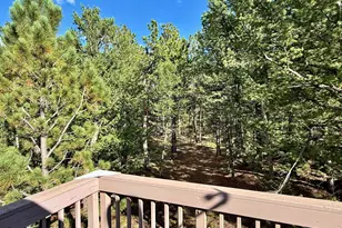 6687 Overland Rd, Ward, CO 80481 - Photo 33