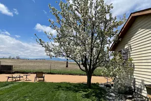 684 26th St SW, Loveland, CO 80537 - Photo 19