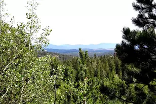 115 Wenro Ct, Red Feather Lakes, CO 80545 - Photo 1