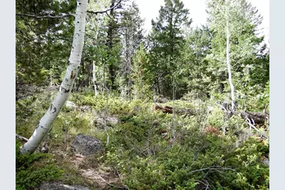 115 Wenro Ct, Red Feather Lakes, CO 80545 - Photo 3