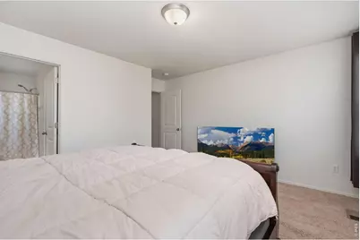 763 Dakota Way, Windsor, CO 80550 - Photo 21