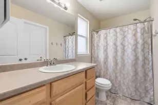 763 Dakota Way, Windsor, CO 80550 - Photo 23