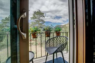 321 Big Horn Dr, Estes Park, CO 80517 - Photo 29