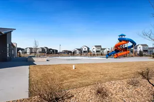 5313 Ribault St, Timnath, CO 80547 - Photo 37