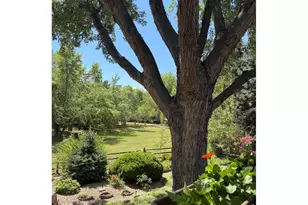 7368 Dry Creek Rd, Niwot, CO 80503 - Photo 1