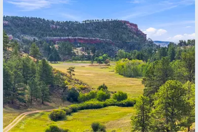 557 Red Bluff Rd, Livermore, CO 80536 - Photo 49