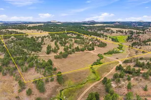 557 Red Blf Rd, Livermore, CO 80536 - Photo 47