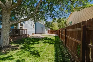 659 Nelson Park Ln, Longmont, CO 80503 - Photo 45