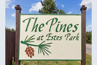 1155 S Saint Vrain Ave #2-8, Estes Park, CO 80517 - Photo 3