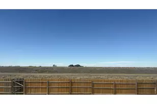 1116 Coyote Ln, Wiggins, CO 80654 - Photo 13